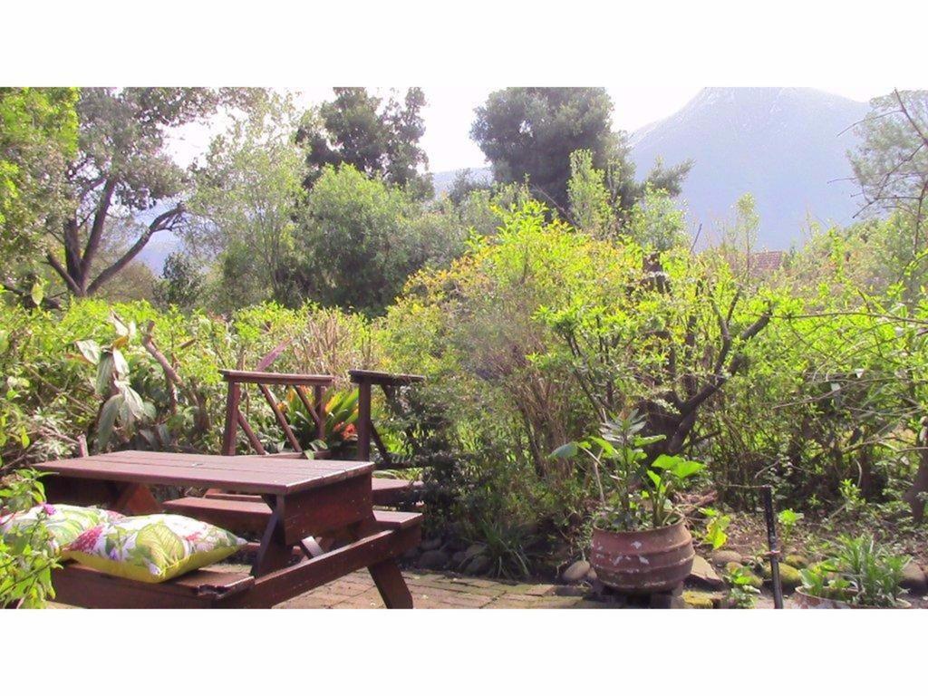 Forest Nest Cottage, Tsitsikamma Stormsrivier Bagian luar foto