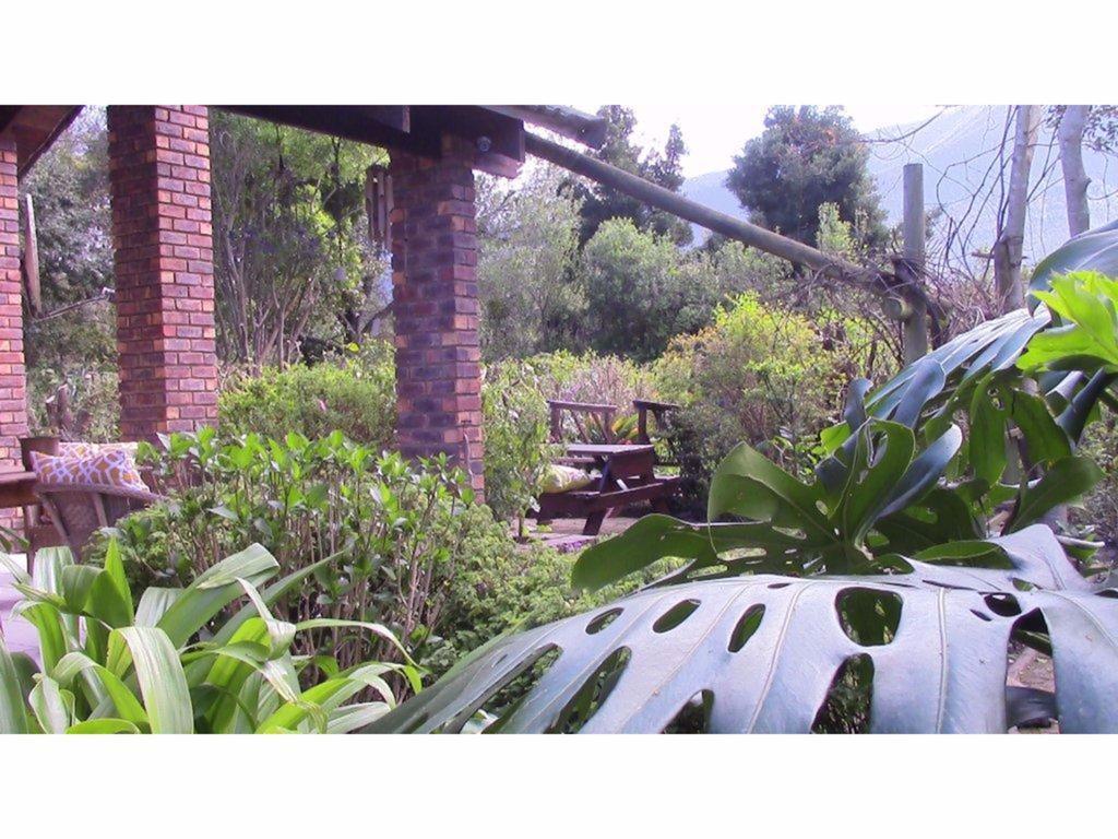 Forest Nest Cottage, Tsitsikamma Stormsrivier Bagian luar foto