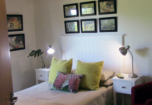 Forest Nest Cottage, Tsitsikamma Stormsrivier Bagian luar foto